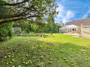 Photo 37- click for photo gallery